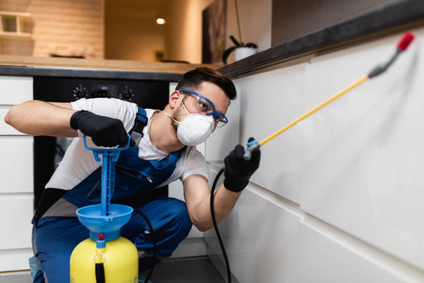 Best Affordable Pest Control Services  in White Castle, LA