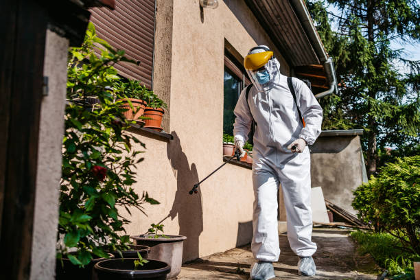 Best Cockroach Control Services  in White Castle, LA
