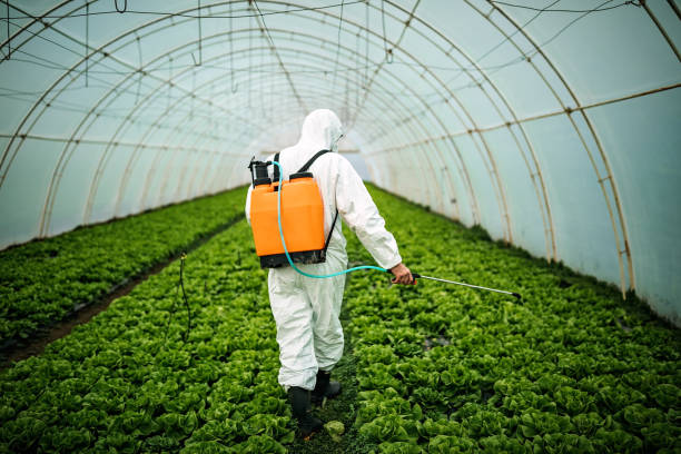 Best Best Pest Control Companies  in White Castle, LA