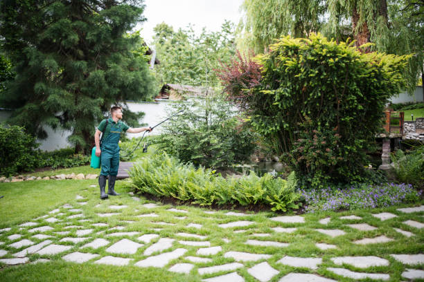 Best Pest Prevention Services  in White Castle, LA