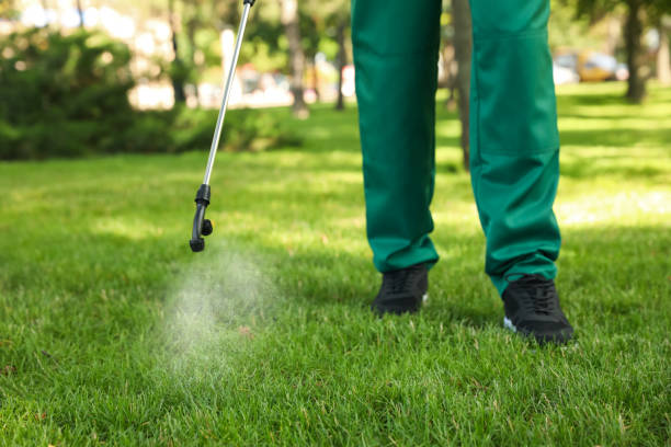 Best Bed Bug Extermination  in White Castle, LA