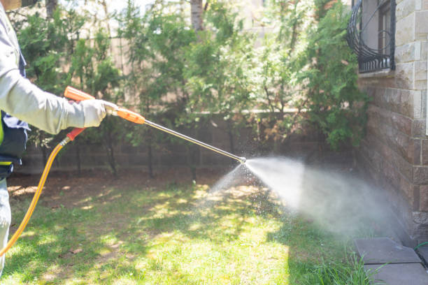 Best Rat Extermination Near Me  in White Castle, LA