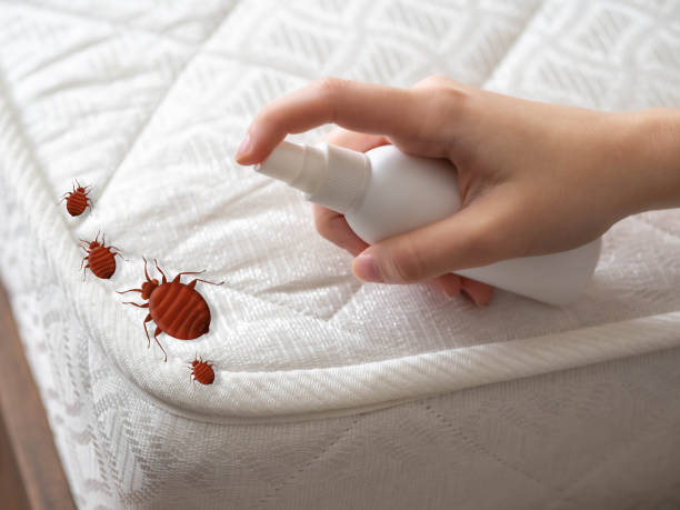 Best Pest Removal Services  in White Castle, LA